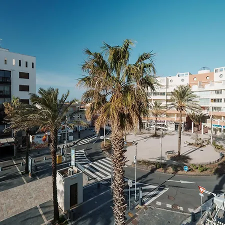 Palme D Or N 50 2p5 Appartamento *